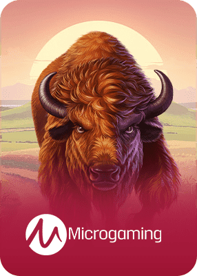 Microgaming software at AuWin Australia