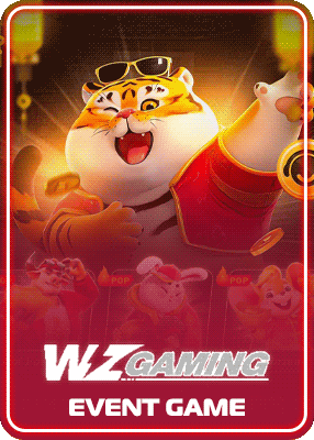 WZ Gaming event at AuWin Australia